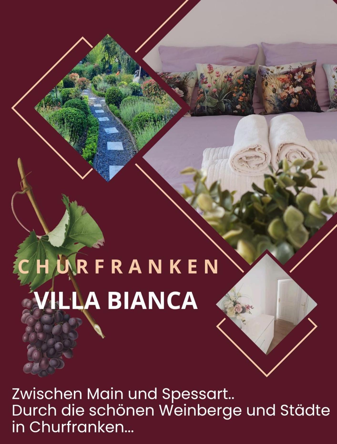 Villa Bianca - Holiday & Business Elsenfeld ภายนอก รูปภาพ